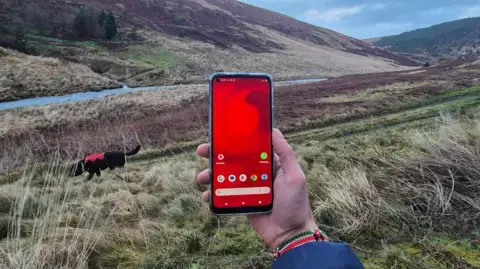 Satellites could end UK phone 'not spots', Vodafone says
