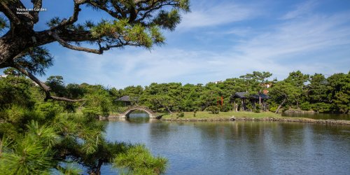 Plan your relaxing holiday in Japan: A seven-day itinerary around Tokyo and Wakayama
