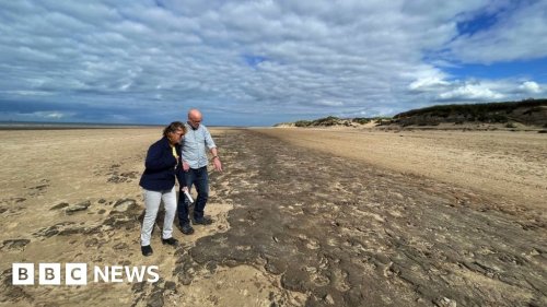 Ancient footprints reveal 'Irish Sea Serengeti'