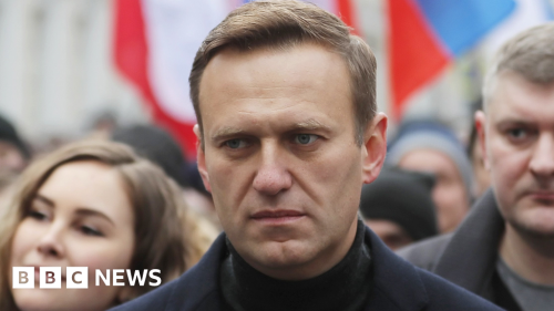 Alexei Navalny: Putin critic's mother says she has been shown his body