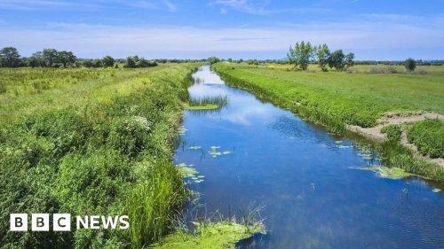 Somerset Levels 'super nature reserve' to be created