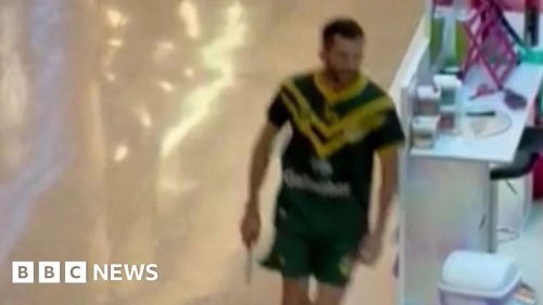 Sydney stabbing suspect Joel Cauchi identified by police after Bondi mall attack