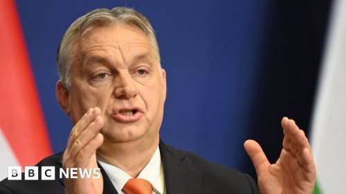 Hungary's Viktor Orban to defy EU over immigration law