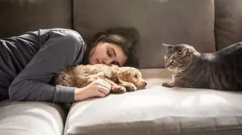 As doenças transmitidas por animais de estimação e 9 dicas para se proteger