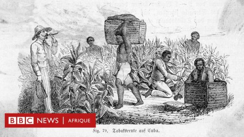 Comment les élites ont remplacé le racisme par l'esclavage en Amérique latine - BBC News Afrique