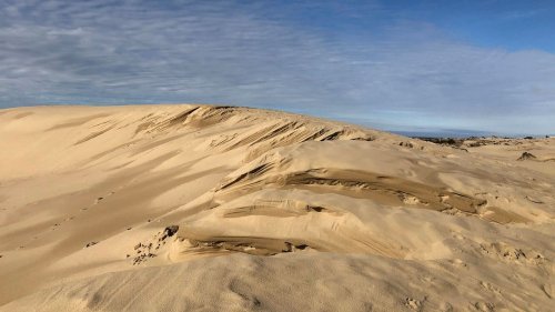 Dune: The 'terraformed' Oregon dunes that inspired Frank Herbert's sci-fi epic