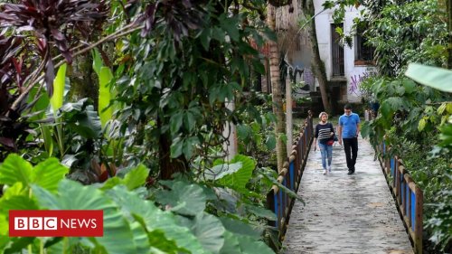 Onda de calor: os 'corredores verdes' de Medellín para combater temperaturas extremas - BBC News Brasil