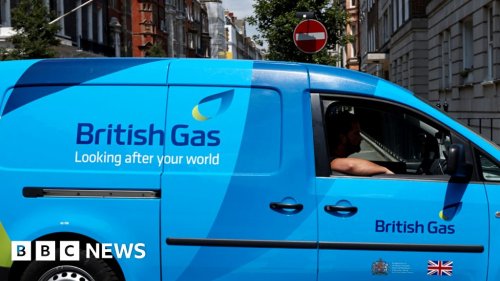 Too early to discuss bonus, says British Gas boss
