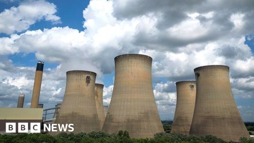 Drax: UK power station burns wood from rare forests