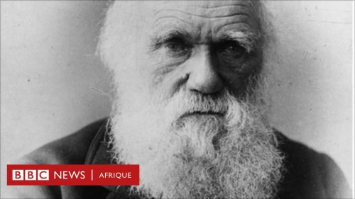 Pourquoi "L'origine des espèces" de Darwin reste l'un des livres scientifiques les plus importants de l'histoire - BBC News Afrique