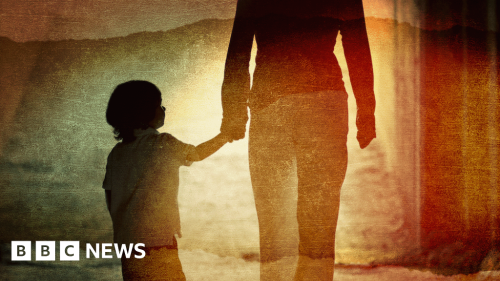Paedophiles could be stripped of parental rights under new law