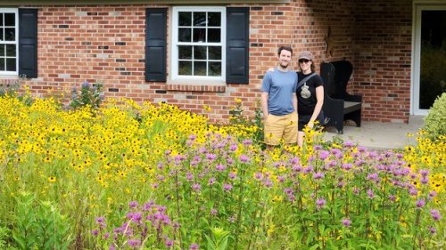 'Meadowscaping': The people turning their lawns into meadows