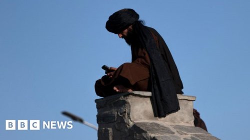 Taliban start buying blue ticks on Twitter