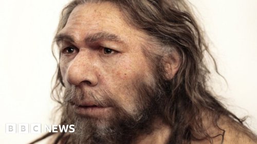 DNA points to Neanderthal breeding barrier