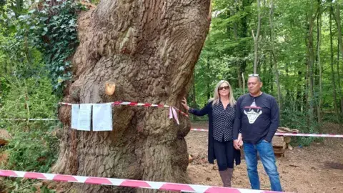 Where the ancient tree felled by Toby Carvery once stood, people are reeling