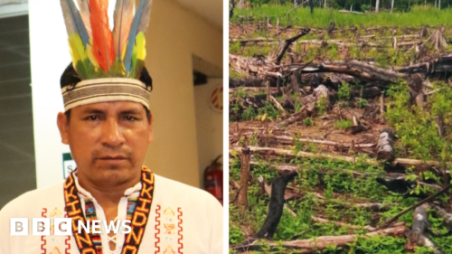 Quinto Inuma: Peru environmentalist who fought for Amazon shot dead