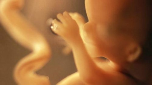 Nove momentos que determinam seu futuro no útero
