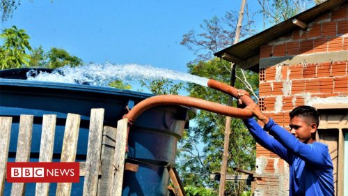 Sem água na torneira, comida mais cara: o suplício das famílias em seca histórica na Amazônia