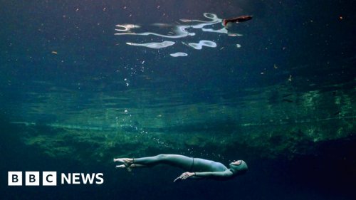 The Deepest Breath: 'Nerve-shredding' documentary explores perils of freediving
