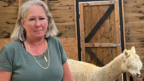 Four alpacas die after being shot in the head