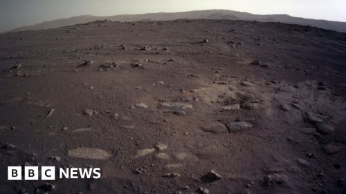 Mars: Nasa's Perseverance rover sends stunning images