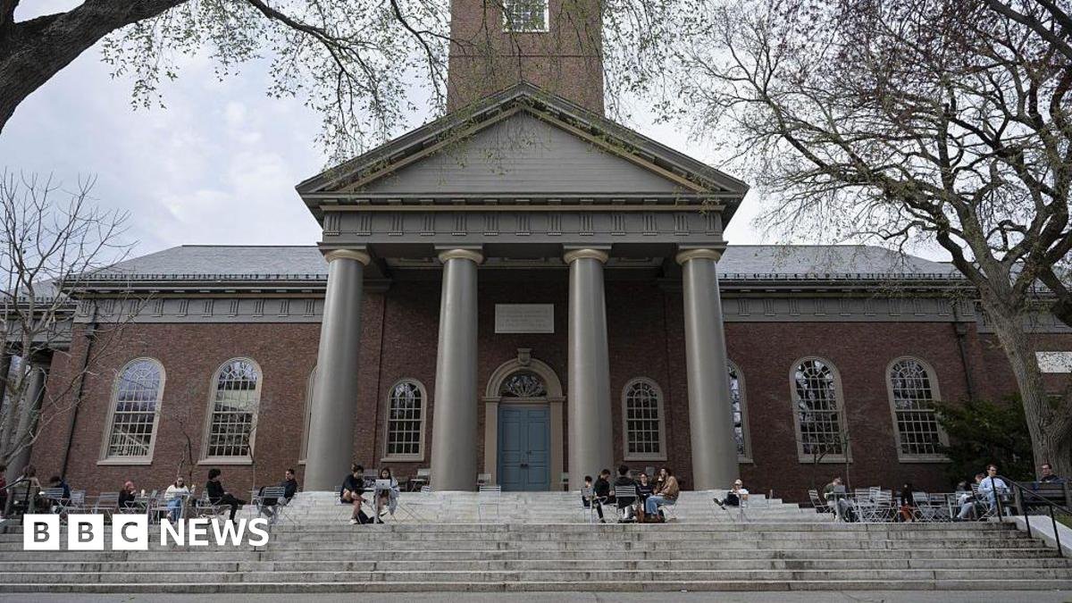 Harvard head apologises as scathing reports on campus prejudice released
