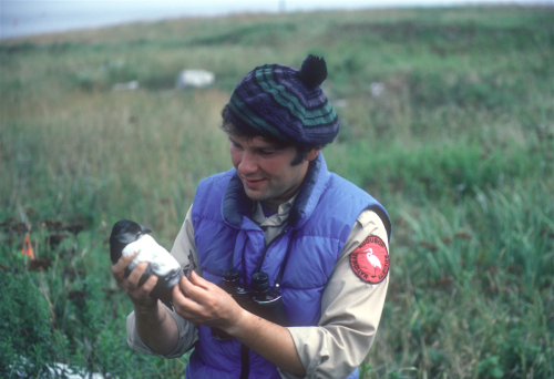 This biologist has dedicated his life to saving Maine’s puffins