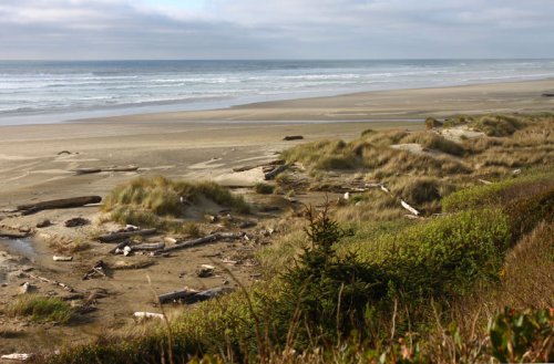 Waldport's Driftwood Beach Parking to Close for Oregon Coast Wave Energy Project Work