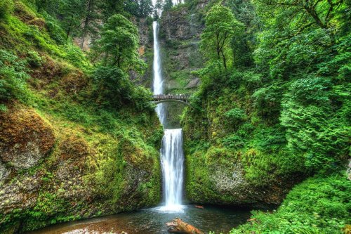 11 Best Oregon Waterfall Hikes