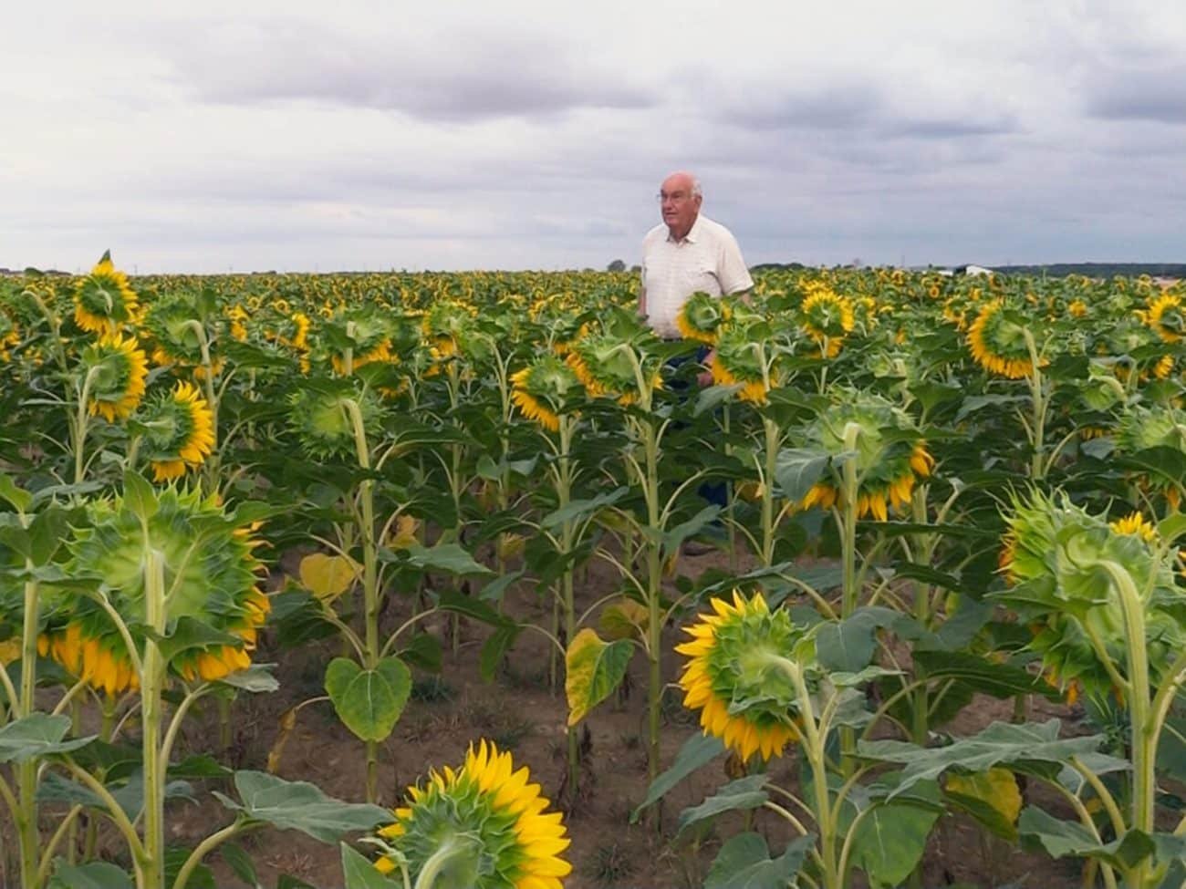« Beau comme un tracteur » : sur Arte, un docu questionne la notion de beauté dans la campagne orléanaise
