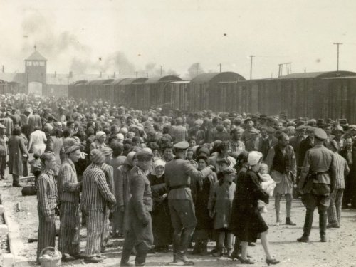 Quand les nazis photographiaient Auschwitz : décryptage au Mémorial de la Shoah dans une expo gratuite
