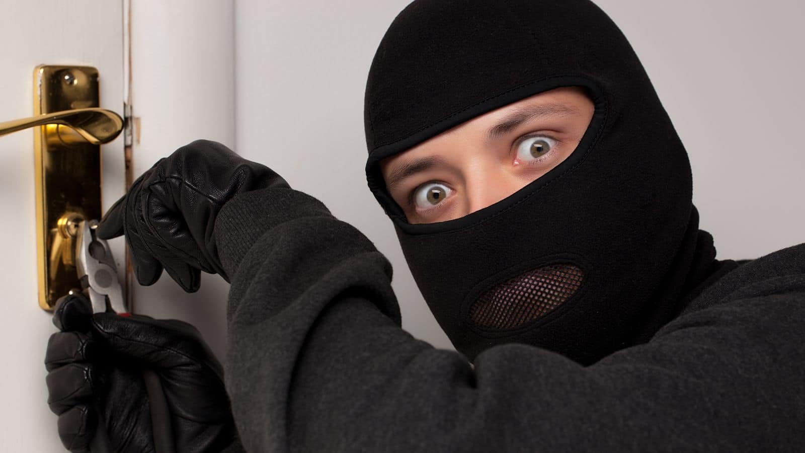 20 Legal Things That Should Be Made Illegal Flipboard