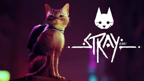 Le jeu de chat culte Stray arrive sur Mac