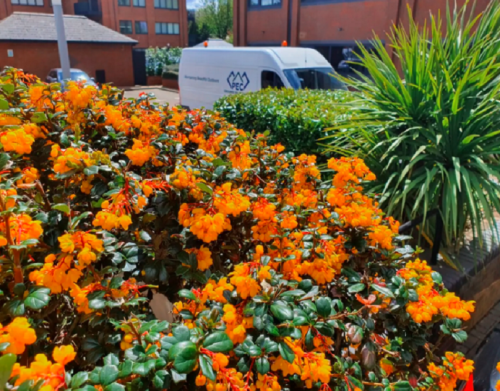 London Grounds Maintenance - PEC Grounds Maintenance
