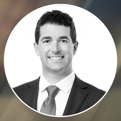 The Role of Attorneys in Promoting Impactful - Gabriel Warren