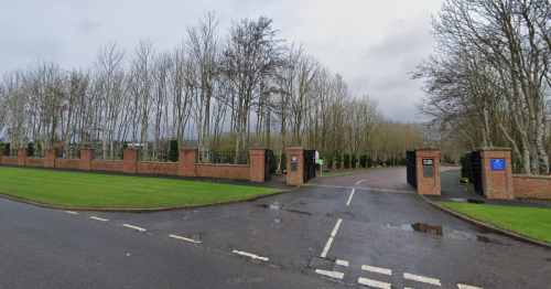 Lisburn Castlereagh Council cemetery tree plan sparks poison berry concern