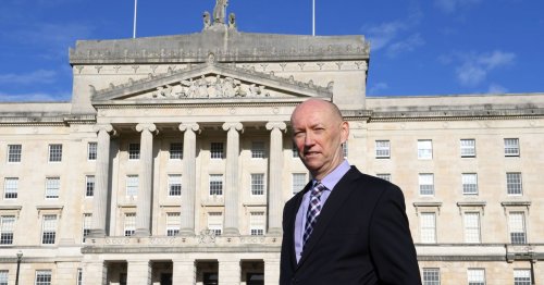 Animal testing in NI should be 'urgently addressed', say USPCA
