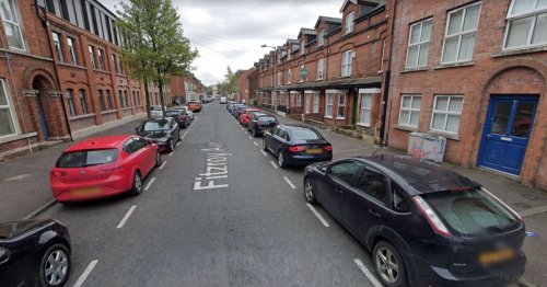 Man aged 19 arrested on Fitzroy Avenue for having ' BB gun or imitation firearm'