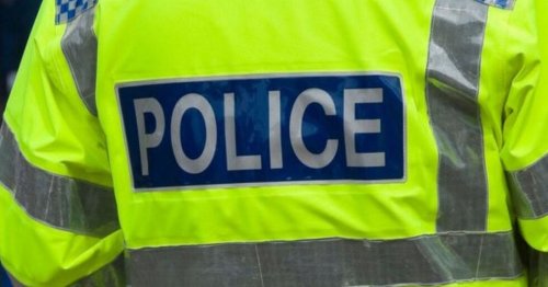 Police confirm death of woman in road traffic collision