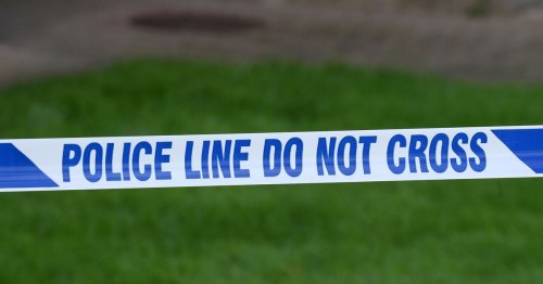 Police investigating sex assault on teenage girl at Belsonic gig