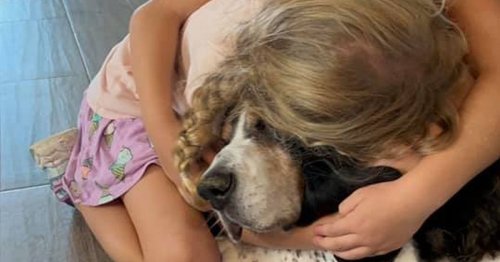 TV vet Rory says dogs suffer grief and need time to mourn