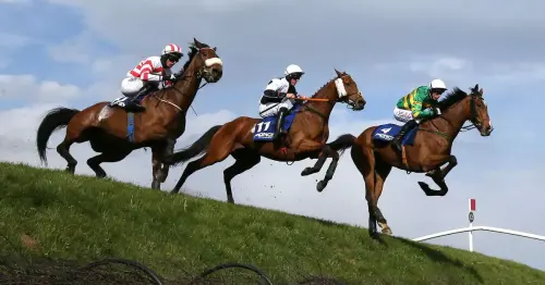 The Punchestown Festival with the Irish Daily Mirror - Don't miss out!