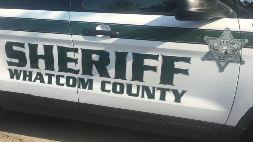 Whatcom Woman Already Suspected Of Pulling Gun On Neighbor Allegedly 