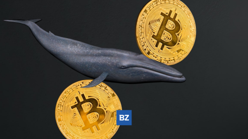 Anonymous Bitcoin Whale Just Moved $66M Worth Of BTC Off Coinbase