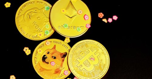 If You Had $1,000 Right Now, Would You Buy The Dip In Dogecoin, Shiba Inu, Ethereum Classic Or Bitcoin Cash?