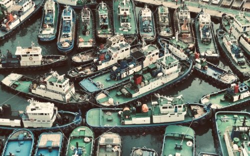 Auditor Flags Adani Ports Transactions, Hindenburg Report Back In Focus