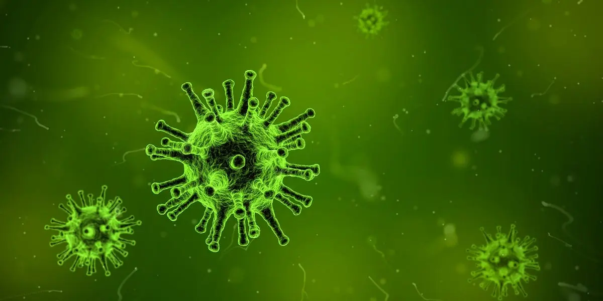 Corona virus And Health  - cover