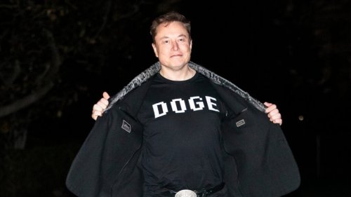Dan Ives Calls Elon Musk's Tesla Recommitment 'Most Important Call He's Ever Had' As CEO Scales Back DOGE Role
