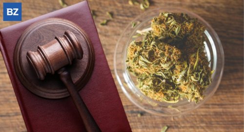 'This Is Insanity, Someone's Got To Act,' Marijuana Researcher Files Fed Lawsuit Against DEA Over 'Unconstitutional Process'
