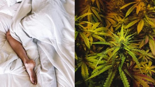 Cannabis Users Ditch Conventional Sleep Aids For Natural Remedy, New Study Finds